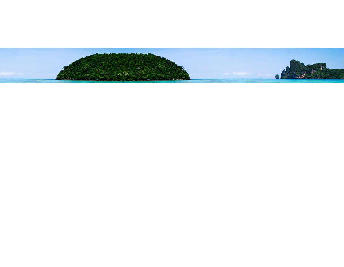 Weitläufige Ansicht einer dicht bewaldeten Insel im kristallklaren, türkisfarbenen Wasser mit blauem Himmel