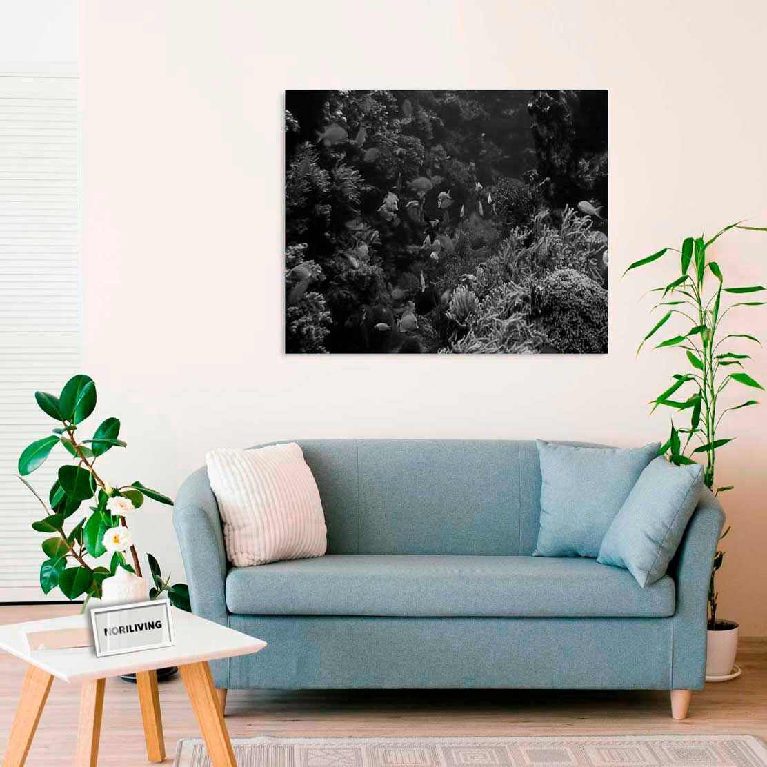 Wandbild über dem Sofa mit Motiv Unterwasserwelt 907 schwarz-weiß