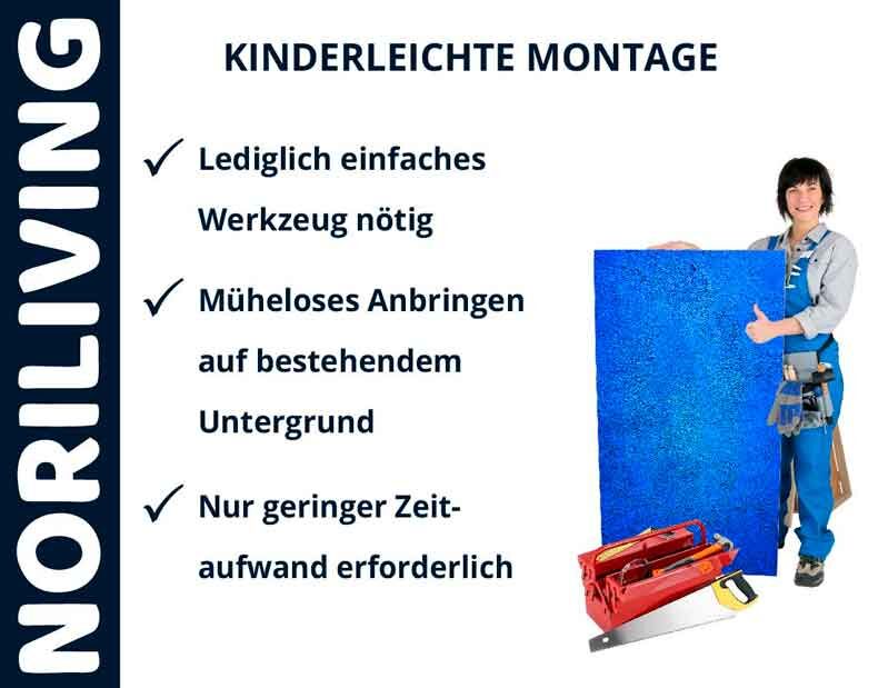 Person hält ein blaues Paneel, daneben einfache Montageanleitung von Noriliving