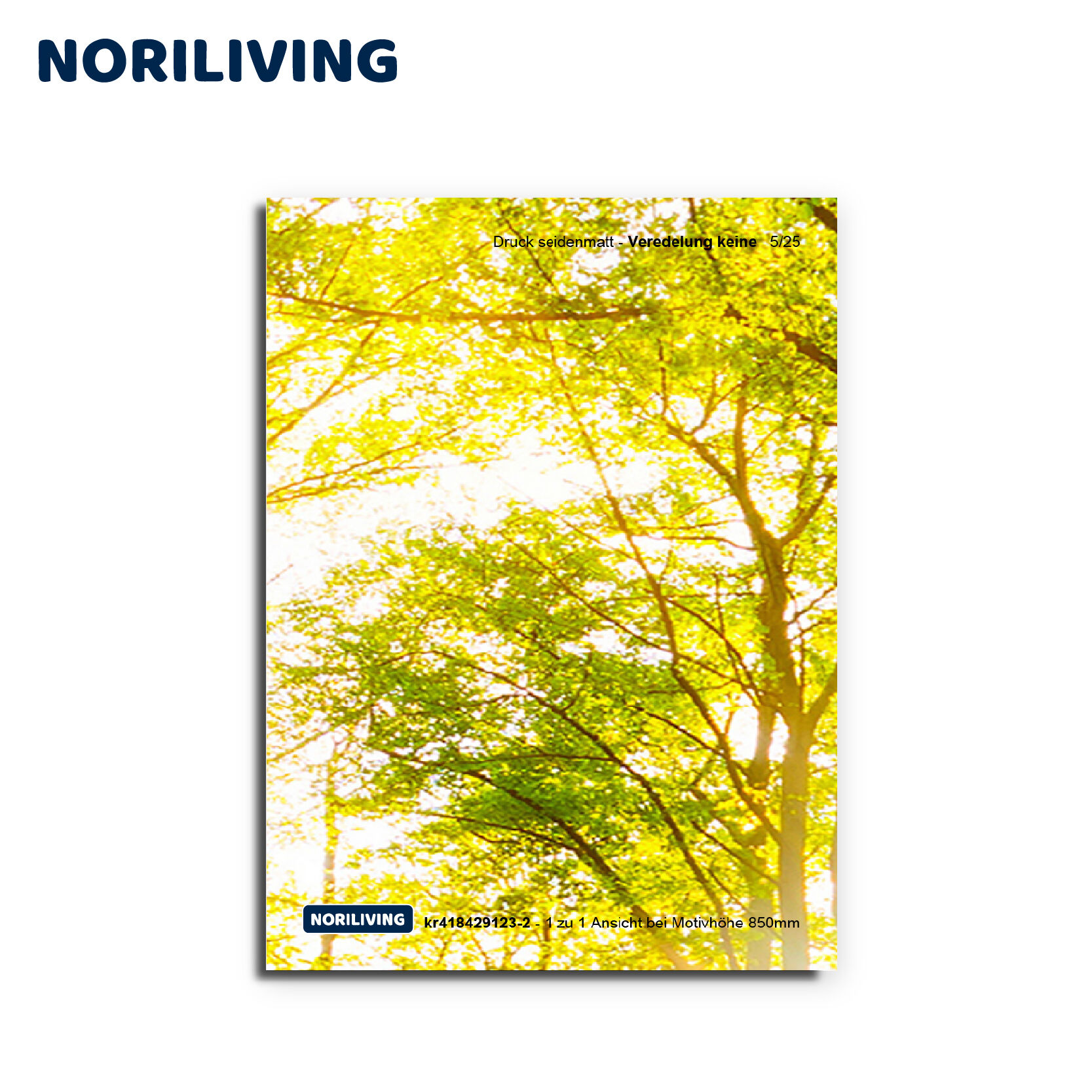 Ein Poster mit sonnendurchfluteten Baumkronen, Druck seidenmatt, ohne Veredelung, Motivhöhe 850 mm, von NORILIVING