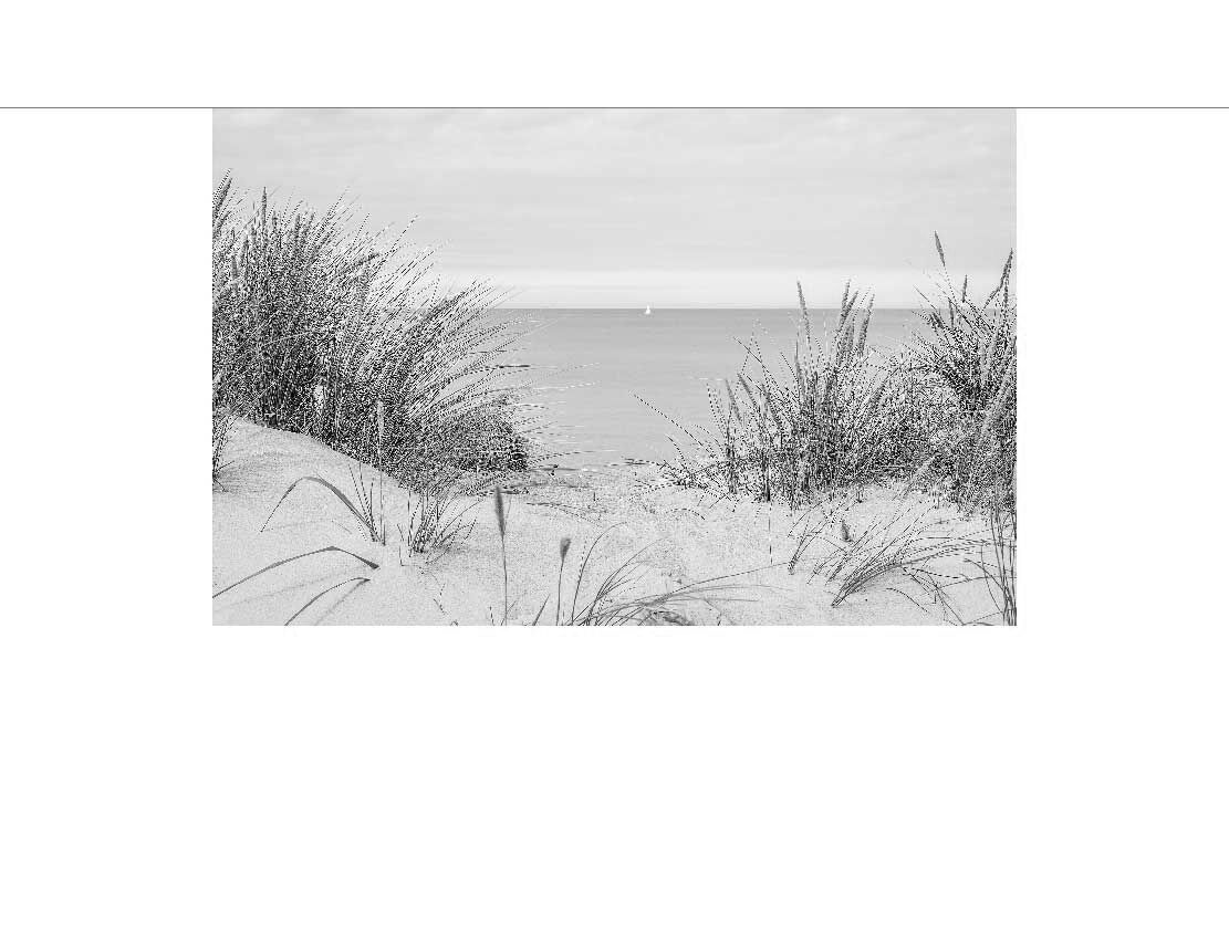 Dünengras in einer Schwarz-Weiß-Aufnahme, das sich im Wind wiegt, mit Blick auf das ruhige Meer und einem fernen Segelboot am Horizont.