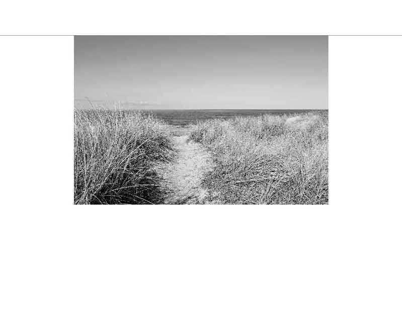Ein schmaler Weg führt durch Dünen zum Meer, dargestellt in einem Schwarz-Weiß-Foto.