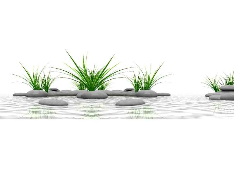 Zen-Dekoration mit glatten Steinen und grünen Gräsern im Wasser