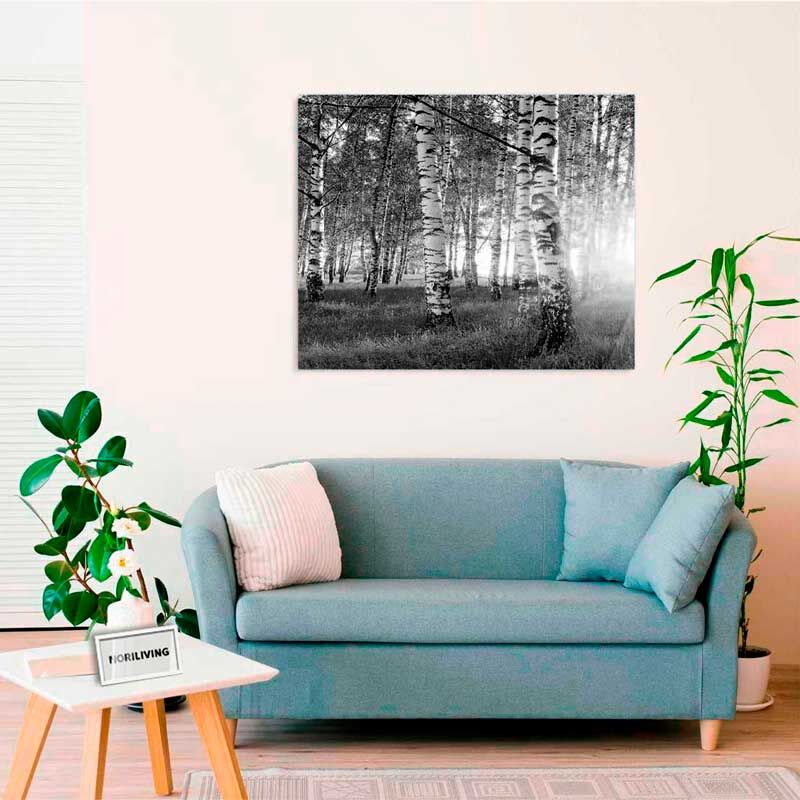 Ein modernes Wohnzimmer mit einer blauen Couch, Pflanzen und einem gerahmten Schwarzweiß-Foto von Birken an der Wand.