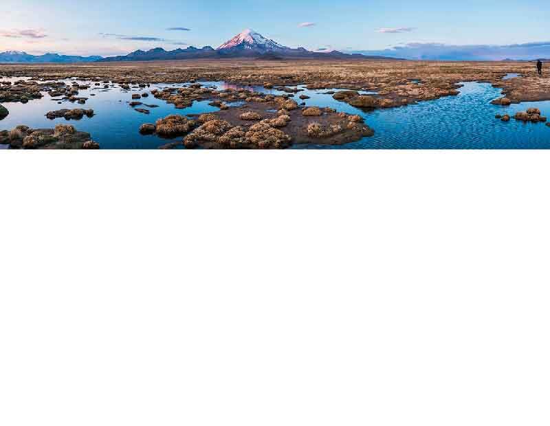Weite Landschaft mit einem schneebedeckten Berg im Hintergrund und zahlreichen Wasserflächen und Grasbüschen im Vordergrund