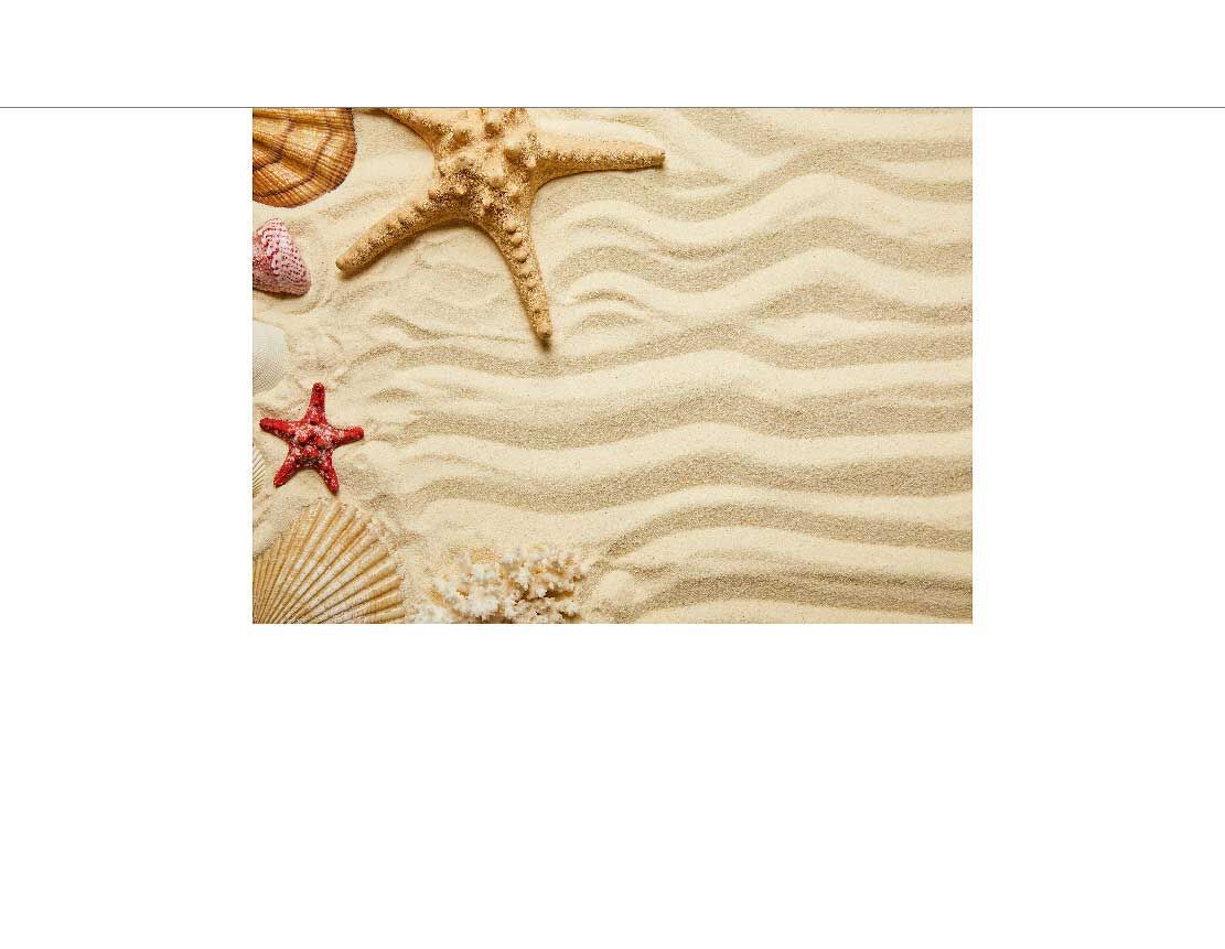 Eine Sammlung von Muscheln und Seesternen auf welligem Sand