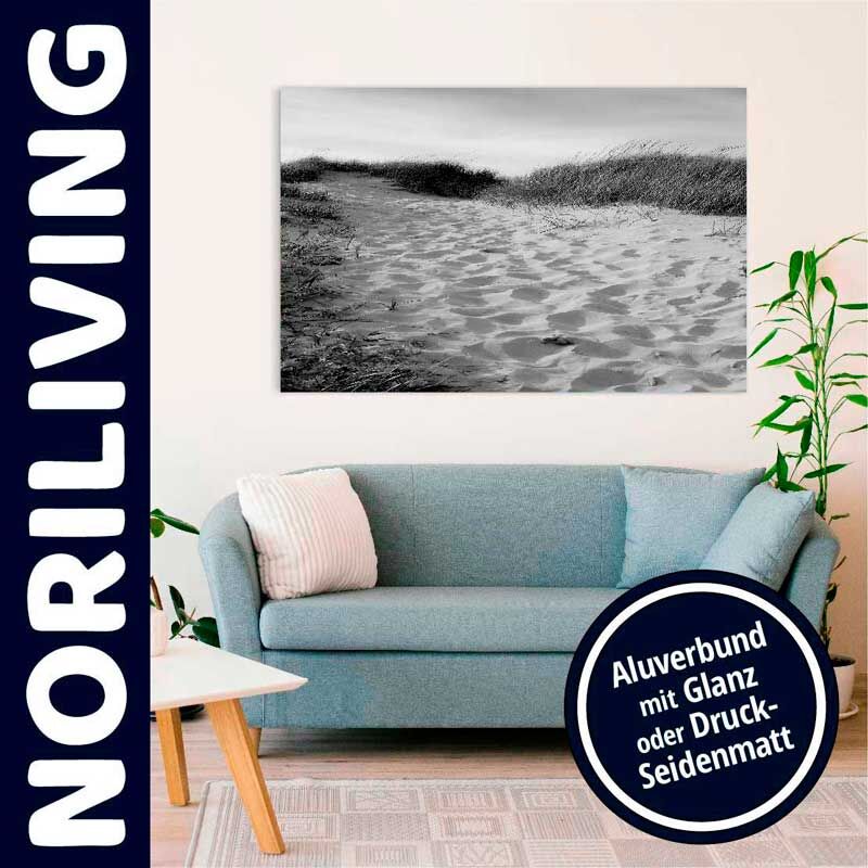 Wohnzimmer mit blauem Sofa, schwarz-weißem Landschaftsbild und Alu-Druckwand von Noriliving.