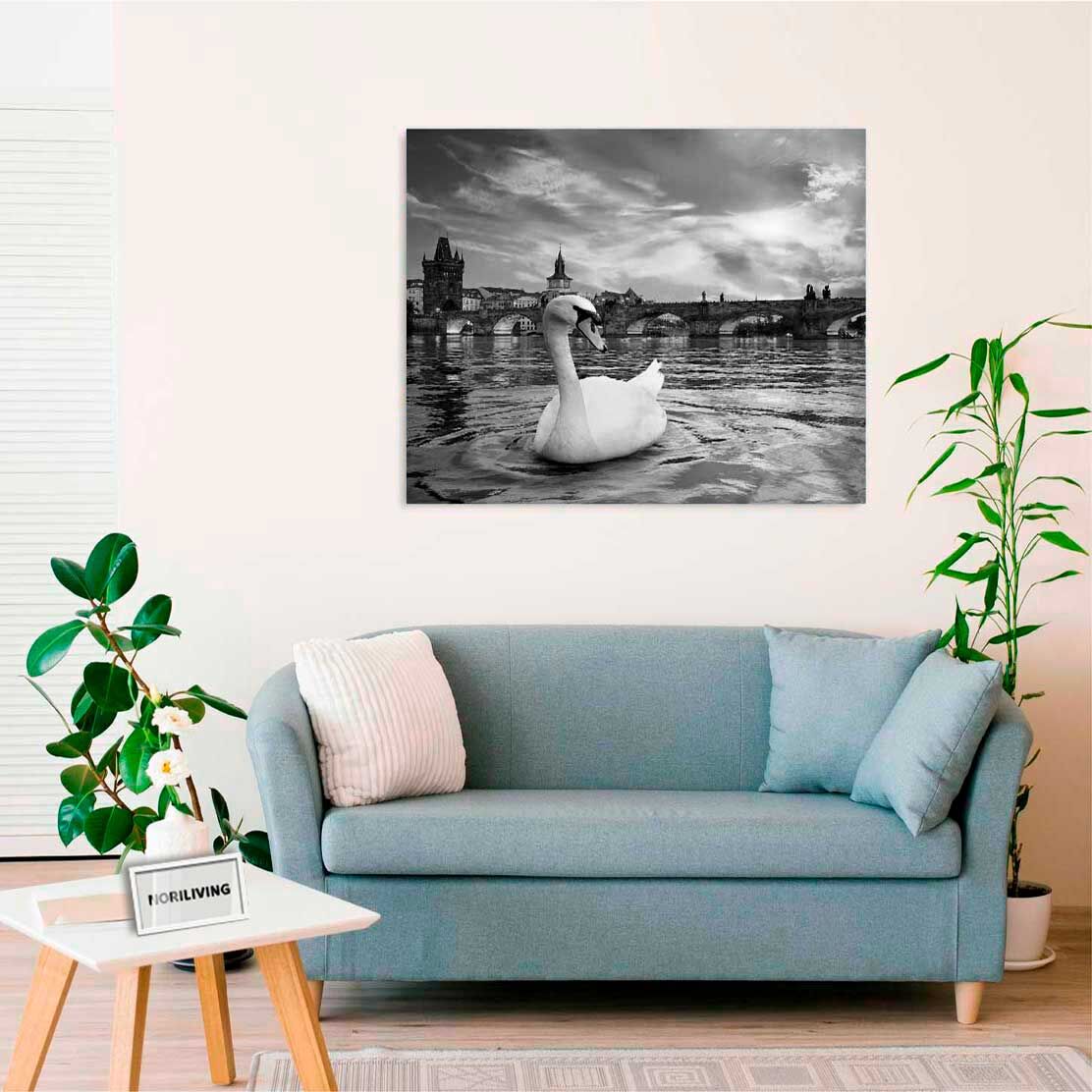 Wandbild über dem Sofa mit Motiv Schwan im See 724 schwarz-weiß