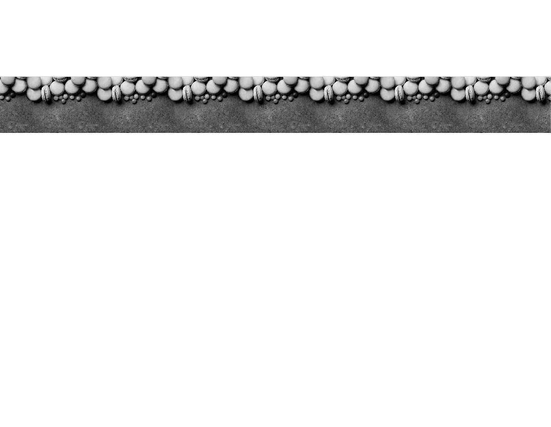 Dekorationsleiste mit Perlen und Muscheln in einem Schwarz-Weiß-Design auf grauem Hintergrund