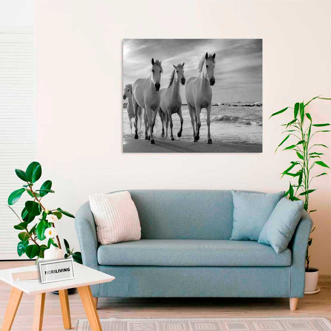 Wandbild über dem Sofa mit Motiv Pferde am Meer 277 schwarz-weiß