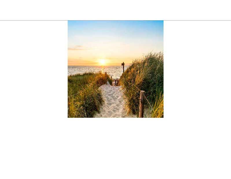 Ein sandiger Pfad führt durch hohe Dünen zum Meer, während die Sonne am Horizont untergeht.
