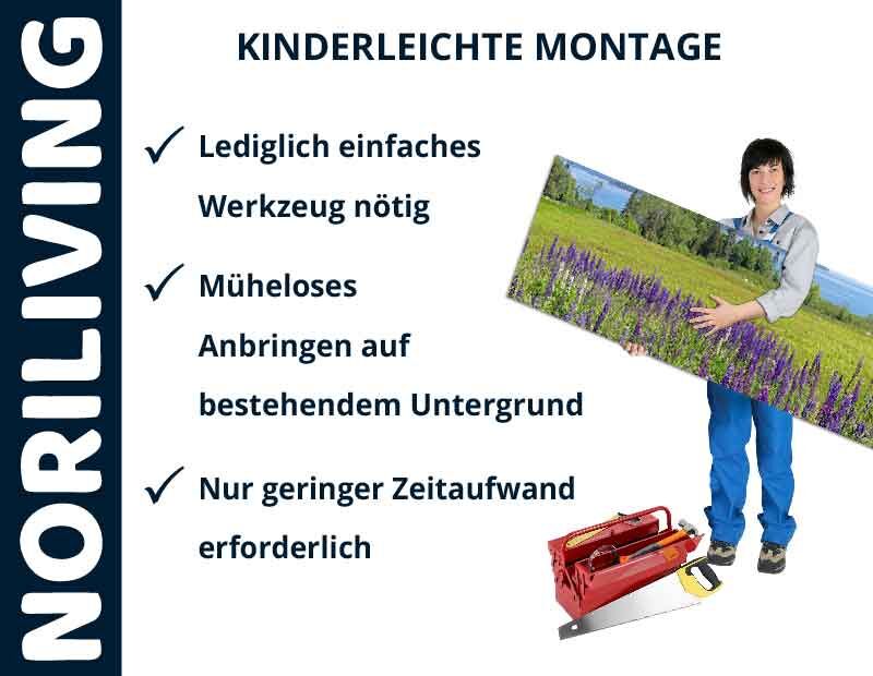Noriliving Montagehinweise: Einfaches Werkzeug nötig, müheloses Anbringen, geringer Zeitaufwand. Person hält Leinwand mit Landschaftsmotiv.
