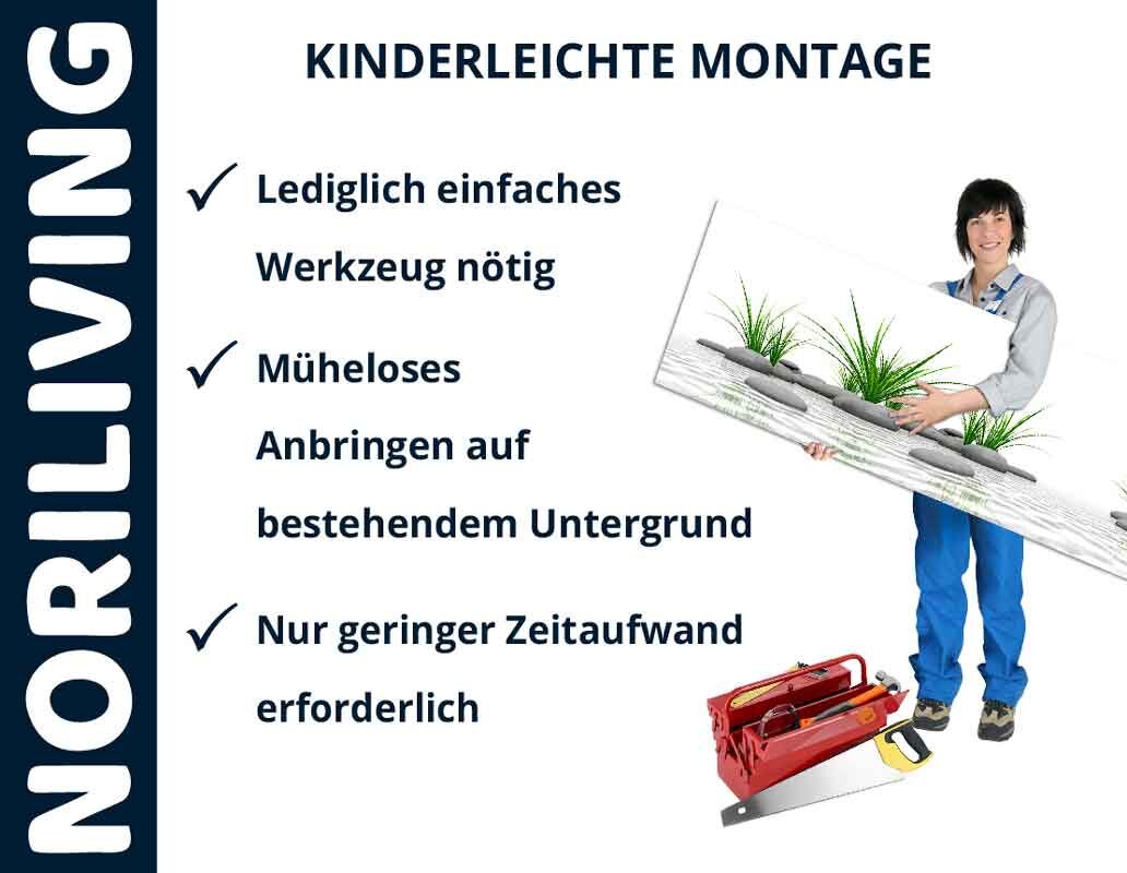 Person hält Schild mit Pflanzenmotiv, einfache Montagehinweise, Werkzeug in Bild